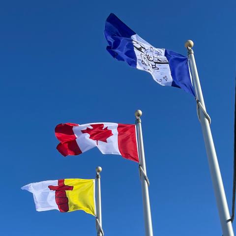 flags